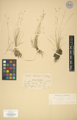 LE 01002780