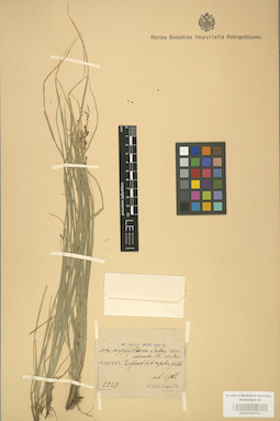 LE 01002781