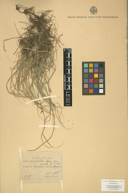 LE 01002782