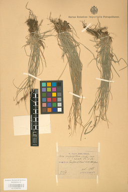 LE 01002783