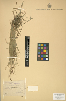 LE 01002786