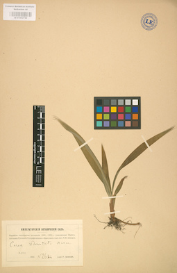 LE 01002788