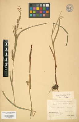 LE 01002790