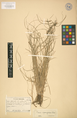 LE 01002792