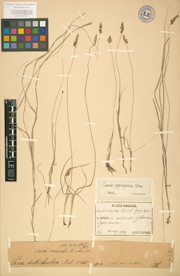 LE 01002793