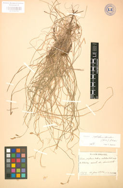 LE 01002794