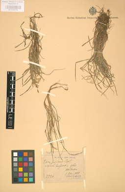 LE 01002796