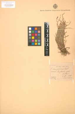 LE 01002797