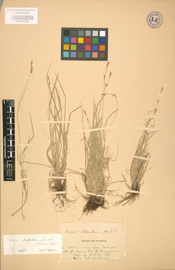 LE 01002798