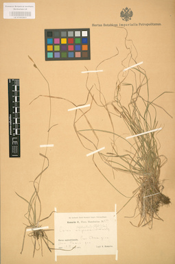 LE 01002801