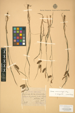 LE 01002808