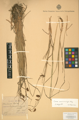 LE 01002809