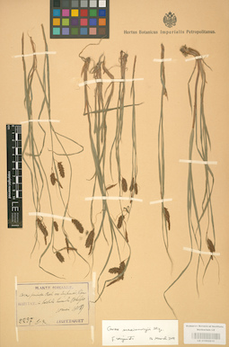 LE 01002810