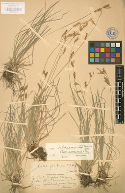 LE 01002812