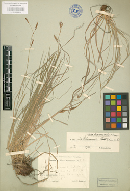 LE 01002813
