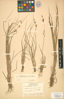 LE 01002815