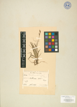 LE 01002816