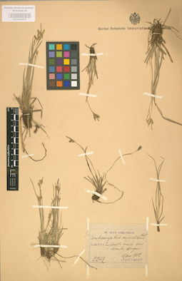 LE 01002819