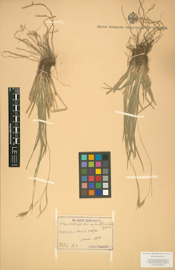 LE 01002820