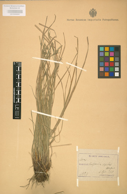 LE 01002822