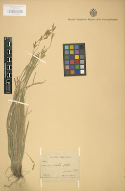 LE 01002823