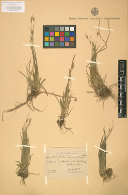 LE 01002824
