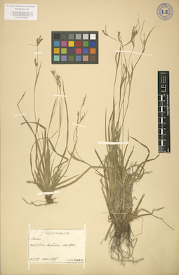 LE 01002825