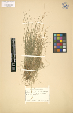 LE 01002827