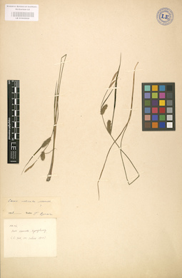 LE 01002828