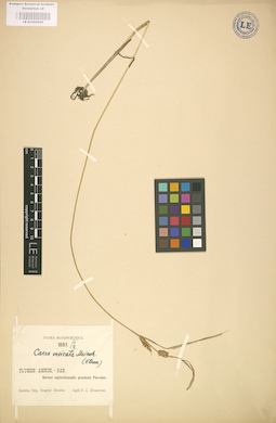 LE 01002829