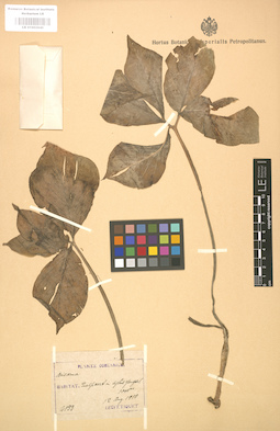 LE 01002840