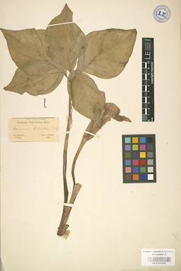 LE 01002841
