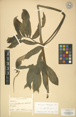 LE 01002843