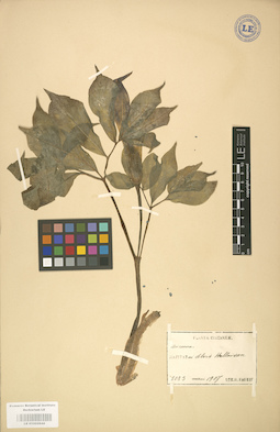 LE 01002844