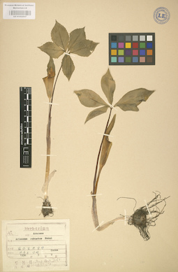 LE 01002847