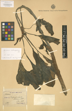 LE 01002848