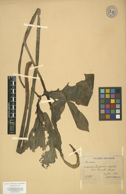 LE 01002853