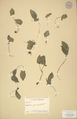 LE 01002857