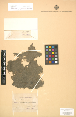 LE 01002861