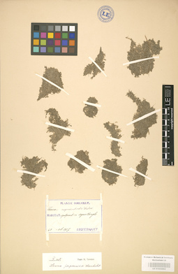 LE 01002862