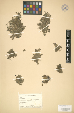 LE 01002863