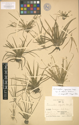 LE 01002864