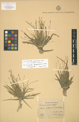 LE 01002866