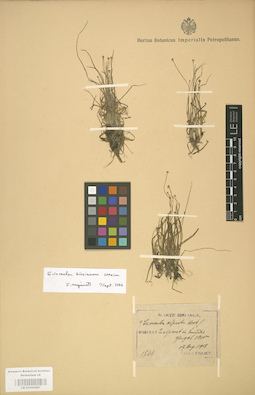 LE 01002867