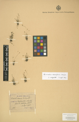 LE 01002868