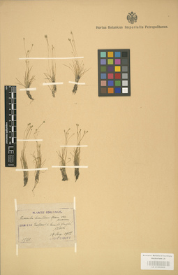 LE 01002869