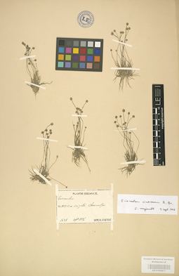 LE 01002871