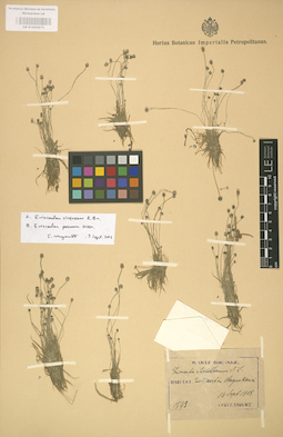 LE 01002872