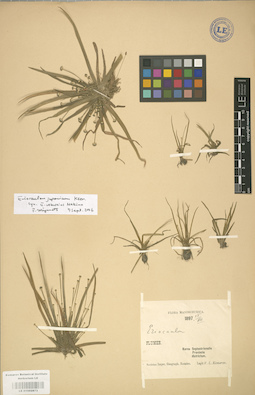 LE 01002873