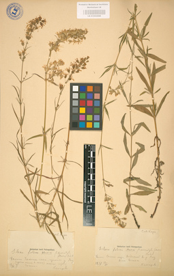 LE 01002886